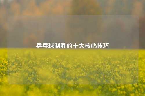 乒乓球制胜的十大核心技巧