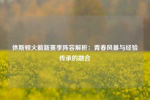 休斯顿火箭新赛季阵容解析：青春风暴与经验传承的融合