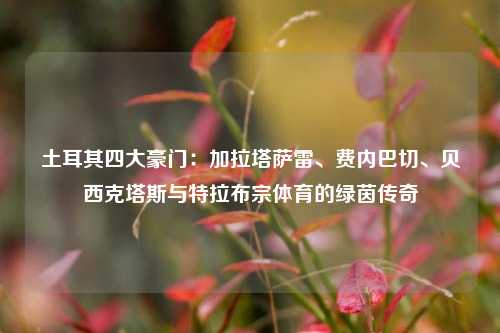 土耳其四大豪门：加拉塔萨雷、费内巴切、贝西克塔斯与特拉布宗体育的绿茵传奇