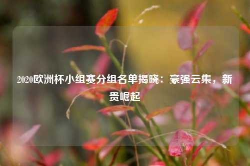 2020欧洲杯小组赛分组名单揭晓：豪强云集，新贵崛起