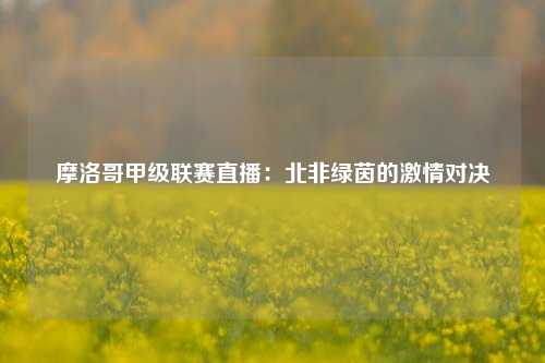 摩洛哥甲级联赛直播：北非绿茵的激情对决