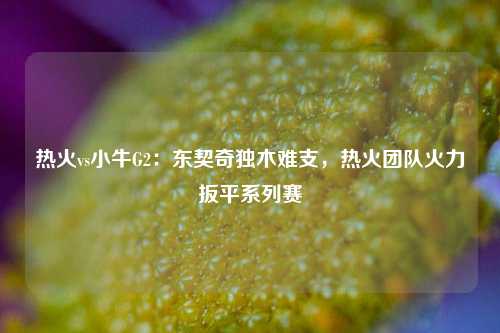 热火vs小牛G2：东契奇独木难支，热火团队火力扳平系列赛