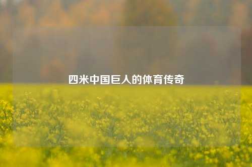 四米中国巨人的体育传奇