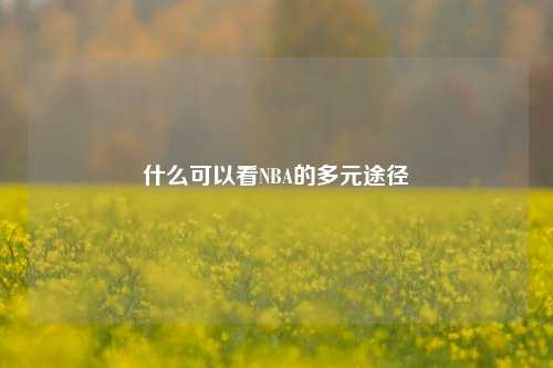 什么可以看NBA的多元途径