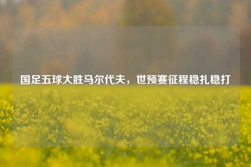 国足五球大胜马尔代夫，世预赛征程稳扎稳打