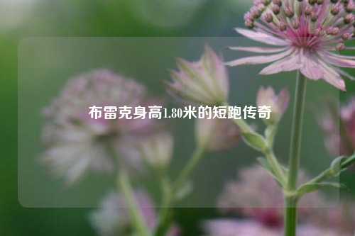 布雷克身高1.80米的短跑传奇