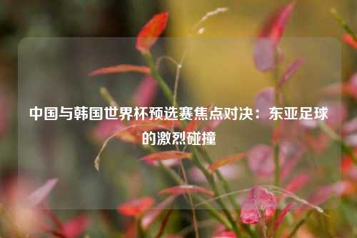 中国与韩国世界杯预选赛焦点对决：东亚足球的激烈碰撞