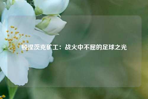 顿涅茨克矿工：战火中不屈的足球之光