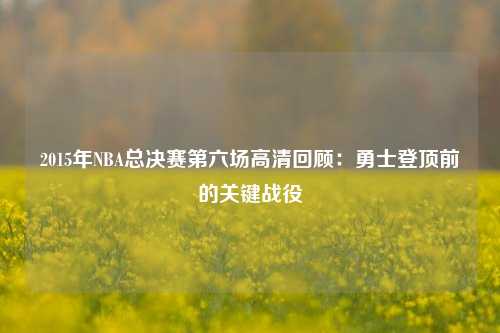 2015年NBA总决赛第六场高清回顾：勇士登顶前的关键战役