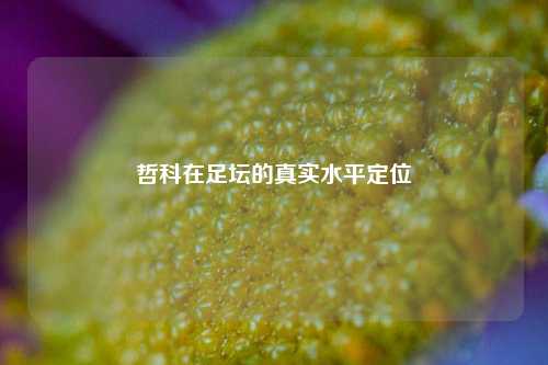 哲科在足坛的真实水平定位