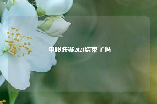  中超联赛2021结束了吗