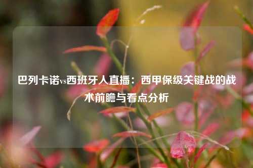 巴列卡诺vs西班牙人直播：西甲保级关键战的战术前瞻与看点分析