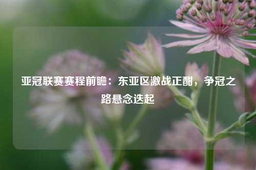 亚冠联赛赛程前瞻：东亚区激战正酣，争冠之路悬念迭起