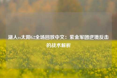 湖人vs太阳G2全场回放中文：紫金军团逆境反击的战术解析