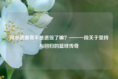 阿尔德里奇不是退役了嘛？——一段关于坚持与回归的篮球传奇