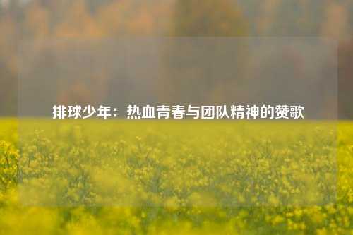  排球少年：热血青春与团队精神的赞歌