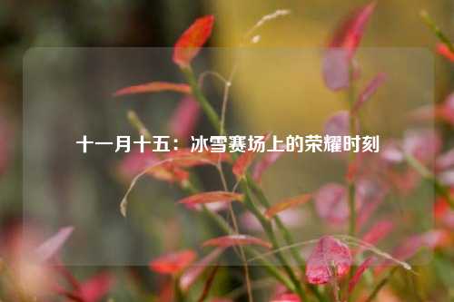 十一月十五：冰雪赛场上的荣耀时刻