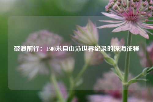 破浪前行：1500米自由泳世界纪录的深海征程