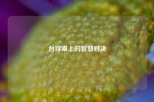 台球桌上的智慧对决