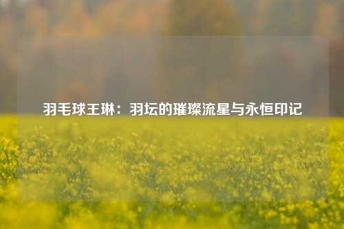 羽毛球王琳：羽坛的璀璨流星与永恒印记