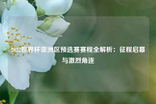 2022世界杯亚洲区预选赛赛程全解析：征程启幕与激烈角逐