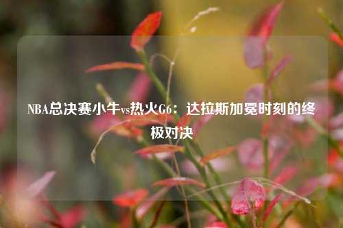 NBA总决赛小牛vs热火G6：达拉斯加冕时刻的终极对决