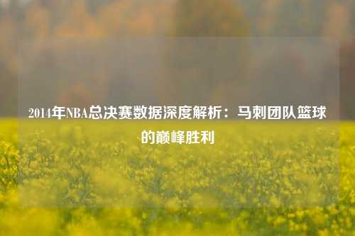 2014年NBA总决赛数据深度解析：马刺团队篮球的巅峰胜利