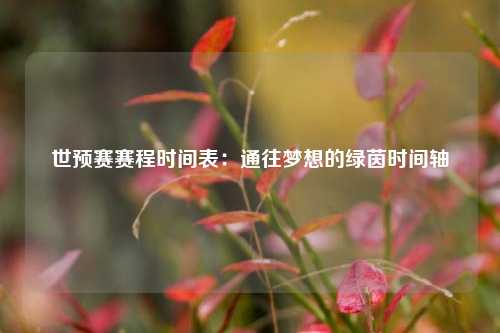 世预赛赛程时间表：通往梦想的绿茵时间轴