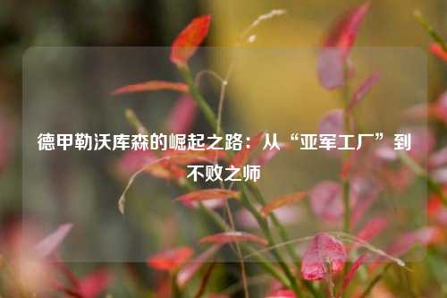 德甲勒沃库森的崛起之路：从“亚军工厂”到不败之师