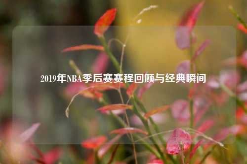 2019年NBA季后赛赛程回顾与经典瞬间