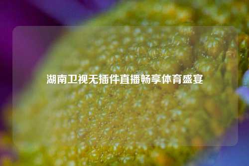 湖南卫视无插件直播畅享体育盛宴