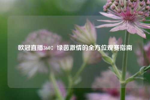 欧冠直播360：绿茵激情的全方位观赛指南