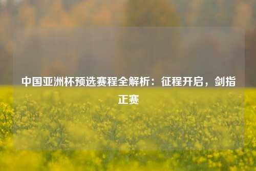中国亚洲杯预选赛程全解析：征程开启，剑指正赛