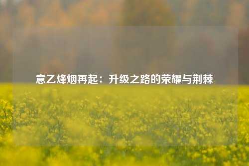 意乙烽烟再起：升级之路的荣耀与荆棘