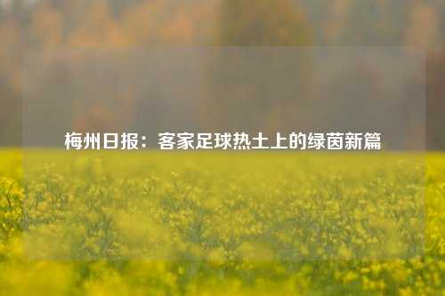 梅州日报：客家足球热土上的绿茵新篇
