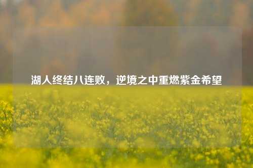 湖人终结八连败，逆境之中重燃紫金希望