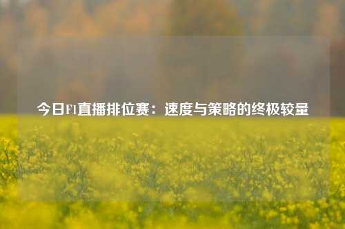今日F1直播排位赛：速度与策略的终极较量
