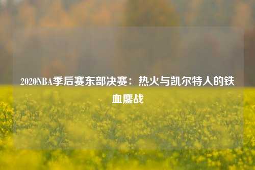 2020NBA季后赛东部决赛：热火与凯尔特人的铁血鏖战
