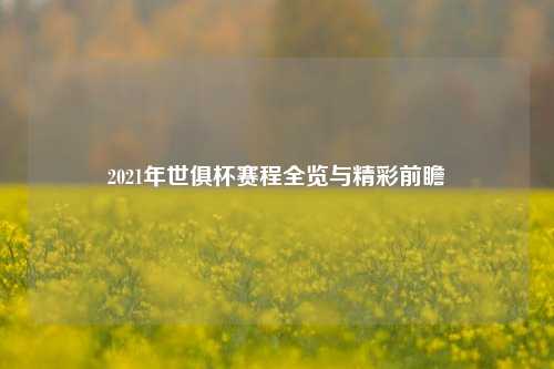 2021年世俱杯赛程全览与精彩前瞻