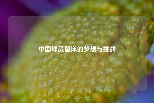 中国球员留洋的梦想与挑战