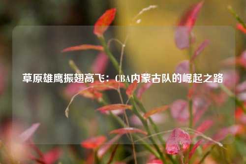 草原雄鹰振翅高飞：CBA内蒙古队的崛起之路