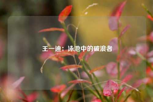  王一迪：泳池中的破浪者