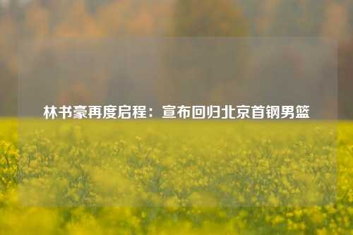 林书豪再度启程：宣布回归北京首钢男篮