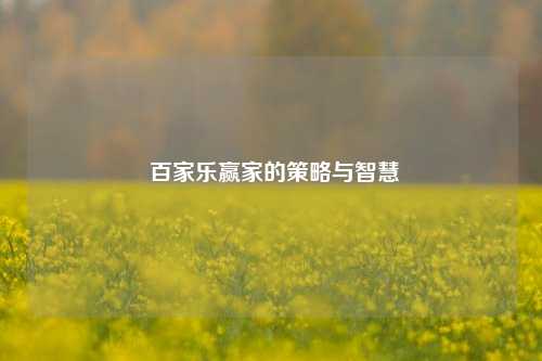  百家乐赢家的策略与智慧