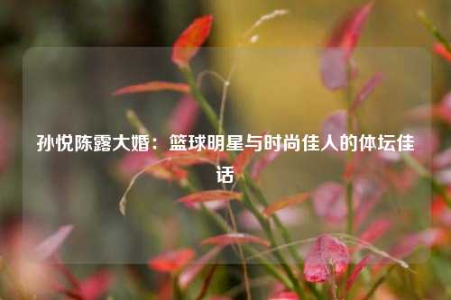 孙悦陈露大婚：篮球明星与时尚佳人的体坛佳话