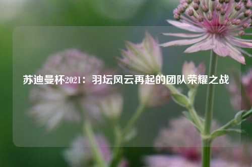 苏迪曼杯2021：羽坛风云再起的团队荣耀之战
