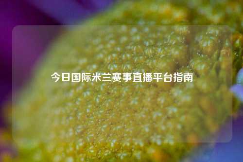 今日国际米兰赛事直播平台指南