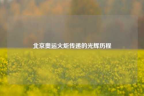 北京奥运火炬传递的光辉历程