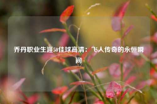 乔丹职业生涯50佳球高清：飞人传奇的永恒瞬间