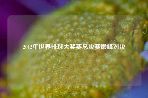 2012年世界排球大奖赛总决赛巅峰对决